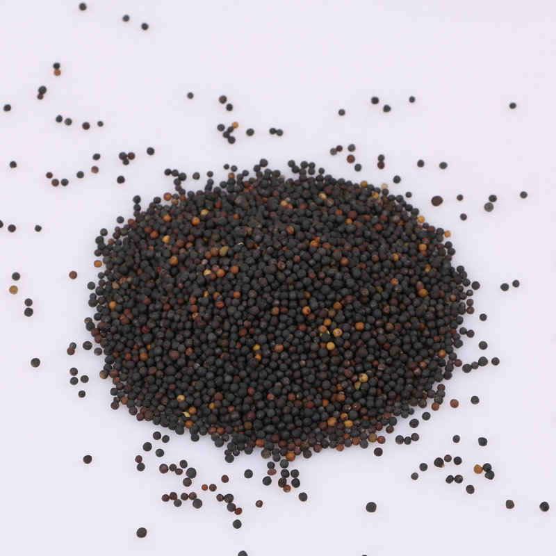 Rapeseed seed pigeon food tiger skin peony parrot hibiscus bird jade bird bird food winter bird oil extraction