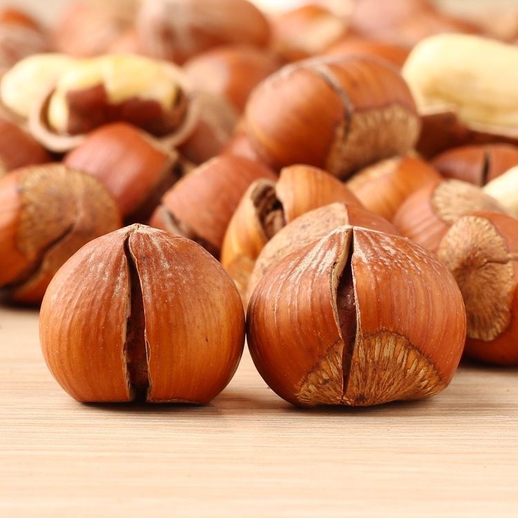 25 New Hazelnuts from Northeast China, Large Hazelnuts with Large Kernels, Beautiful Original Flavor Nuts, Freshly Roasted Goods, Ready Stock for the New Year, Wholesale