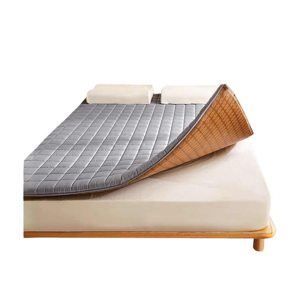 Tatami Summer Ice Silk Mat Mattress Soft Cushion Student Dormitory Single Winter and Summer Dual-Use Foldableing Thin Home