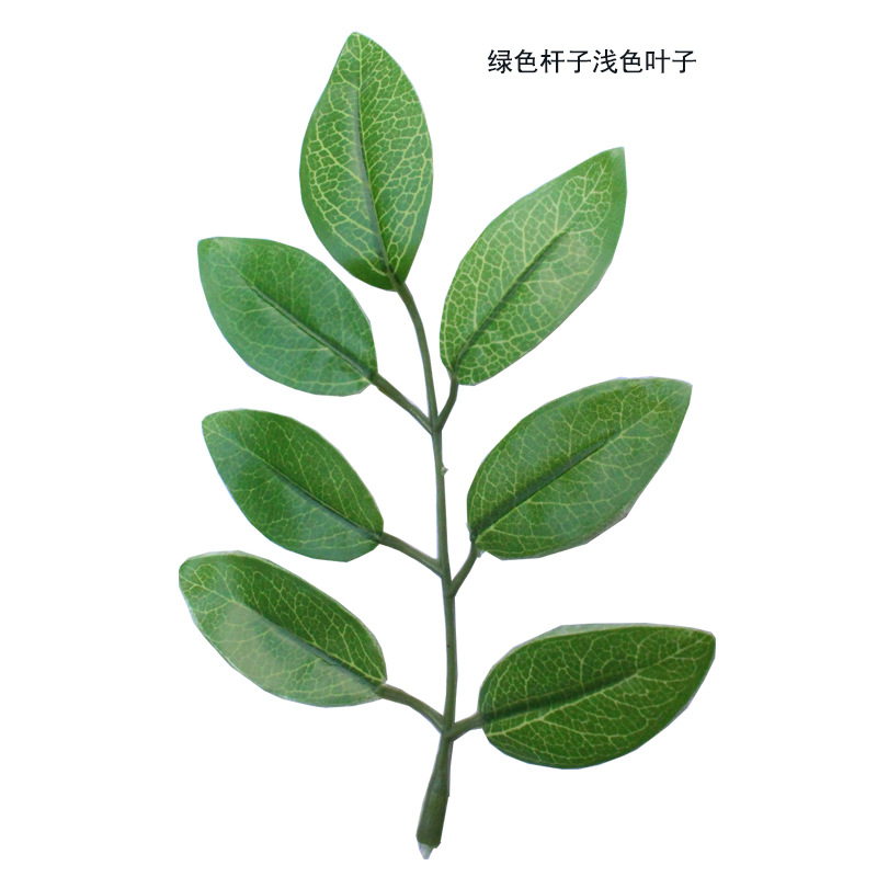 New artificial plant leaves bean flower leaves locust tree leaves Elm locust tree shooting Engineering decoration wholesale decoration