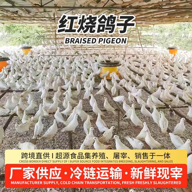 Голубь, тушеный