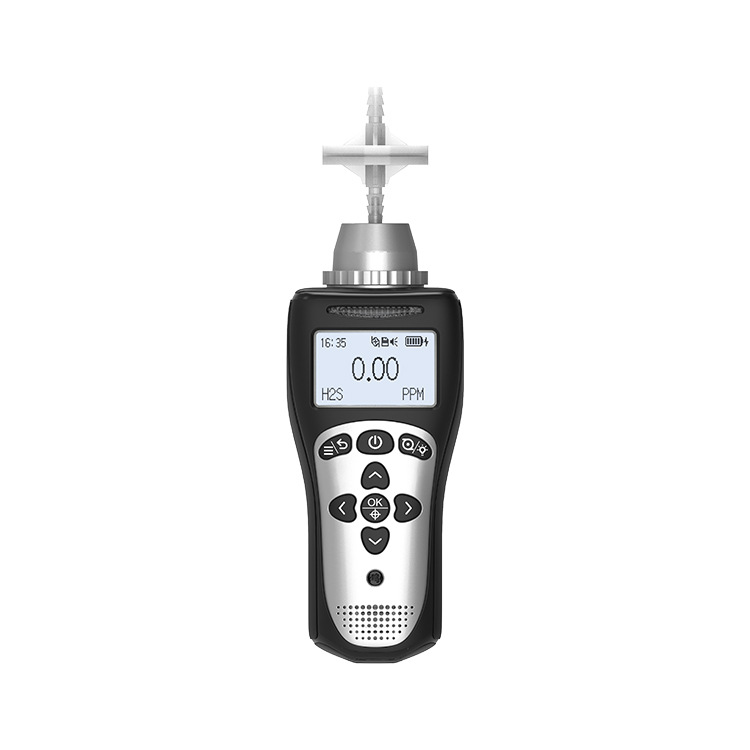 High-tech NGPG portable hydrogen sulfide detector NGP40-S-H2S gas alarm