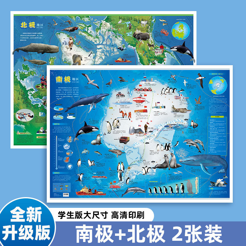 China Map and World Map Large Size Waterproof Primary School Student Special Wall Chart Map Kidsren's Wall Sticker Geography Map