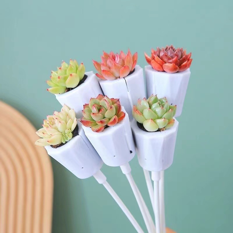 Fleshy bouquet box holding flower combination gift creative soilless self-absorbent lazy person indoor good meat container