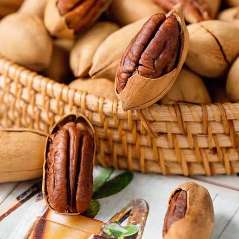 Tingran's new Bigroot fruit 500g original cooked longevity fruit walnut dried fruit nut kernel annual snack wholesale