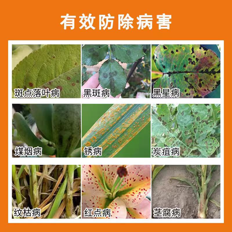 Guoguang Mancozeb Rose Black Spot Leaf Spot Spot Leaf Blight Fungicide Succulent Bituminous Flower Pesticide