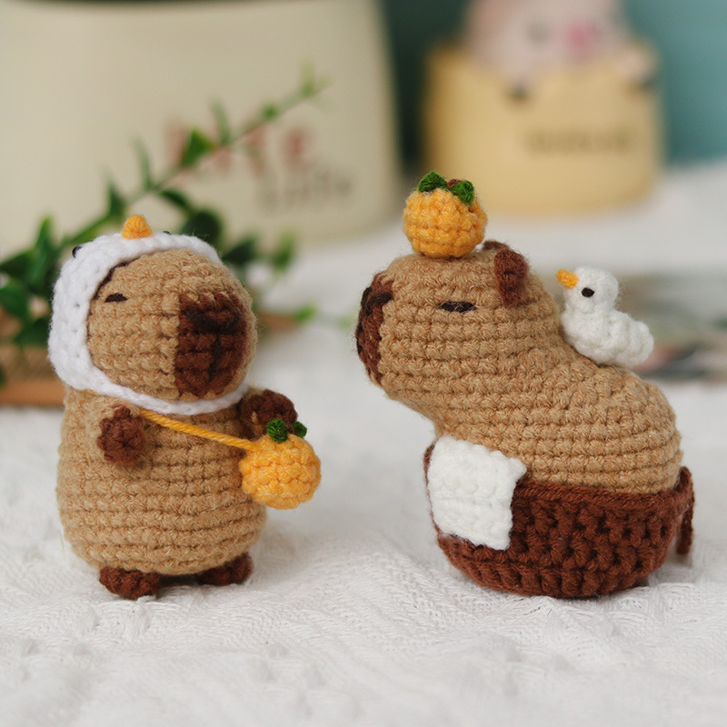 Crochet Material Wool Bag Handmade DIY Doll Animal Pendant Beginner Beginner Set Capybara