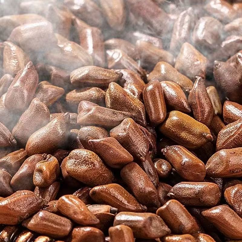 Free shipping bulk wholesale cassia seed toy sand bulk cassia seed filling pillow pillow fried cassia seed tea