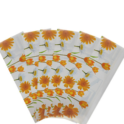 Factory Direct Sales Summer Insect Removal Window Glass Sticker Fly Paper Summer Insect Removal Window Glass Sticker Sticky Mosquito Double-Sided