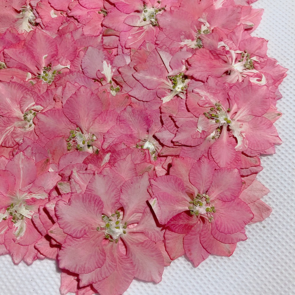 Набор материалов для рукоделия из засушенных цветов, ручная работа, настоящий цветок, тисненное растение, декоративные ornaments, ручная работа, летающая ласточка, оптовая продажа, трансграничная