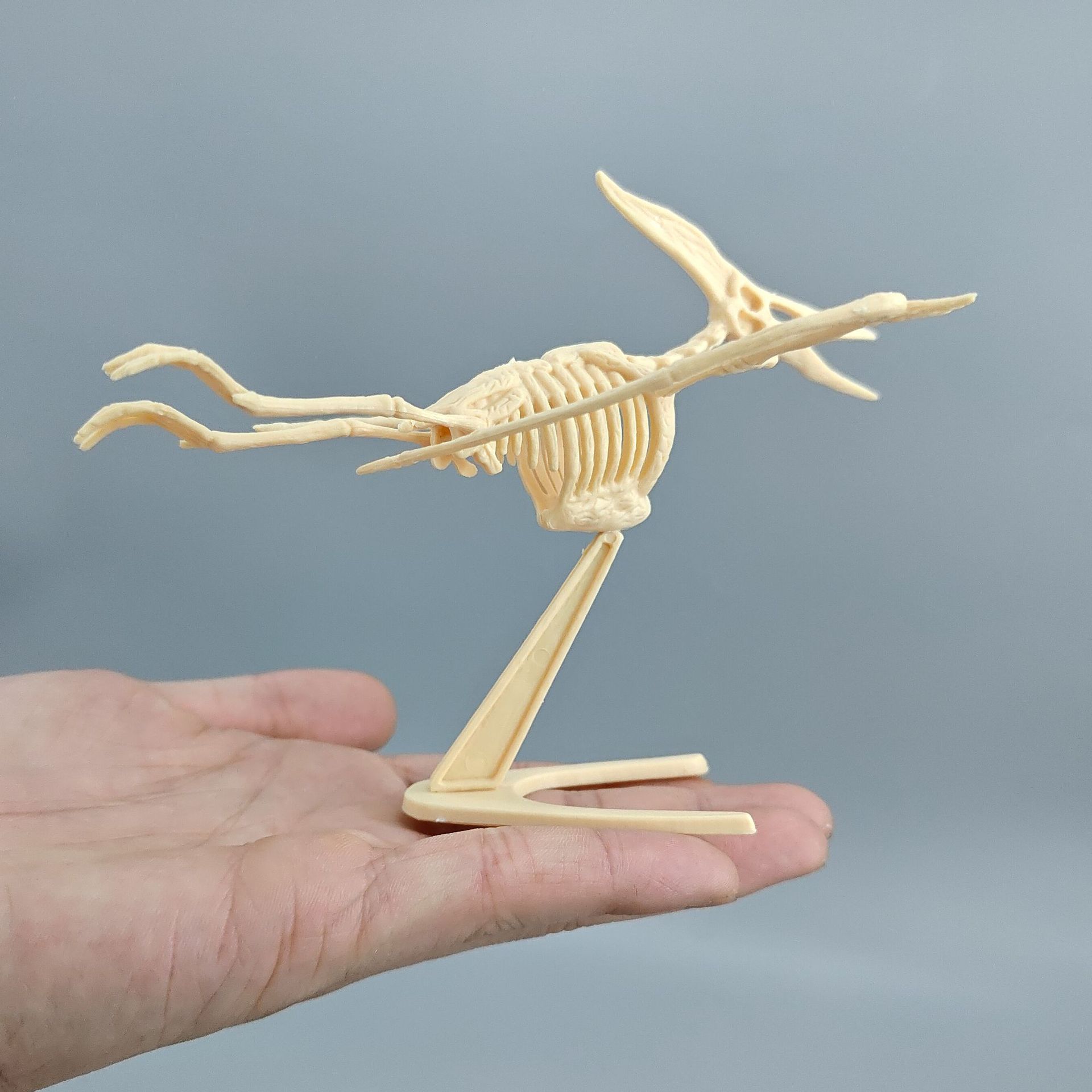 Archaeological disassembly dinosaur skeleton large animal dinosaur fossil luminous toy mining tools manufacturers wholesale cross-border