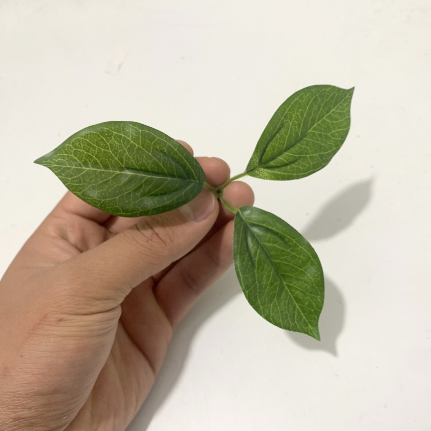 Simulation plant simulation lemon leaf fake leaf accessories film material factory direct sales
