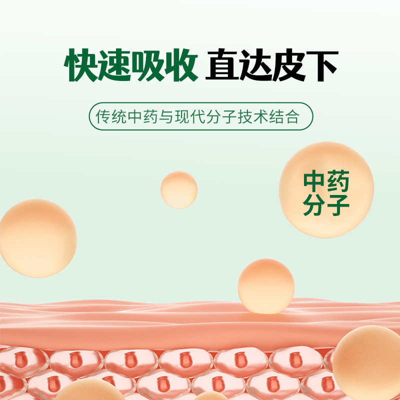 Manufacturer Wholesale Dongming Ant God Bai Xiao Patch Ant Plaster Bone Penetrating Patch