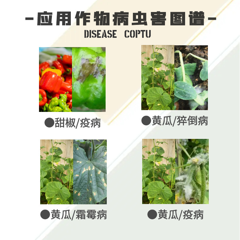 Bayer Pryk Pyraclostrobin Hydrochloride Cucumber Downy Mildew Disease Anthracnose Disease Pesticide Wholesale Fungicide