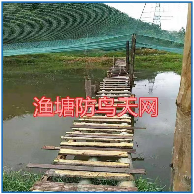 Fishing Net, Pull Net, Drag Net, Fish Pond Partition Net, Fish Farming Net, Breeding Net, Fish Raising Net, Kite Net, Chicken Net, Anti-Bird Net