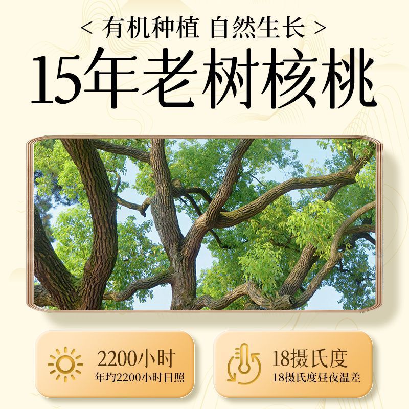 Mai Yifang Organic Walnut Kernels New Arrival Paper Skin Original Flavor No Additives Walnut Meat Snacks for Pregnant Women Nuts