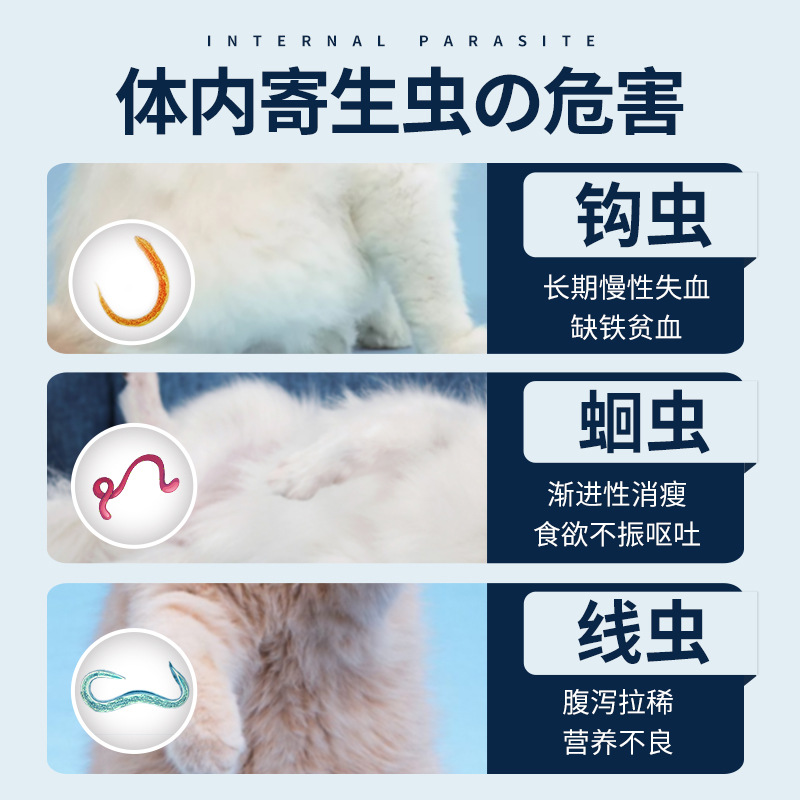 Pet Insect Repellent for Dog and Cat Extracorporeal Insect Repellent for Fleas, Ticks and Lice Abamectin Drops