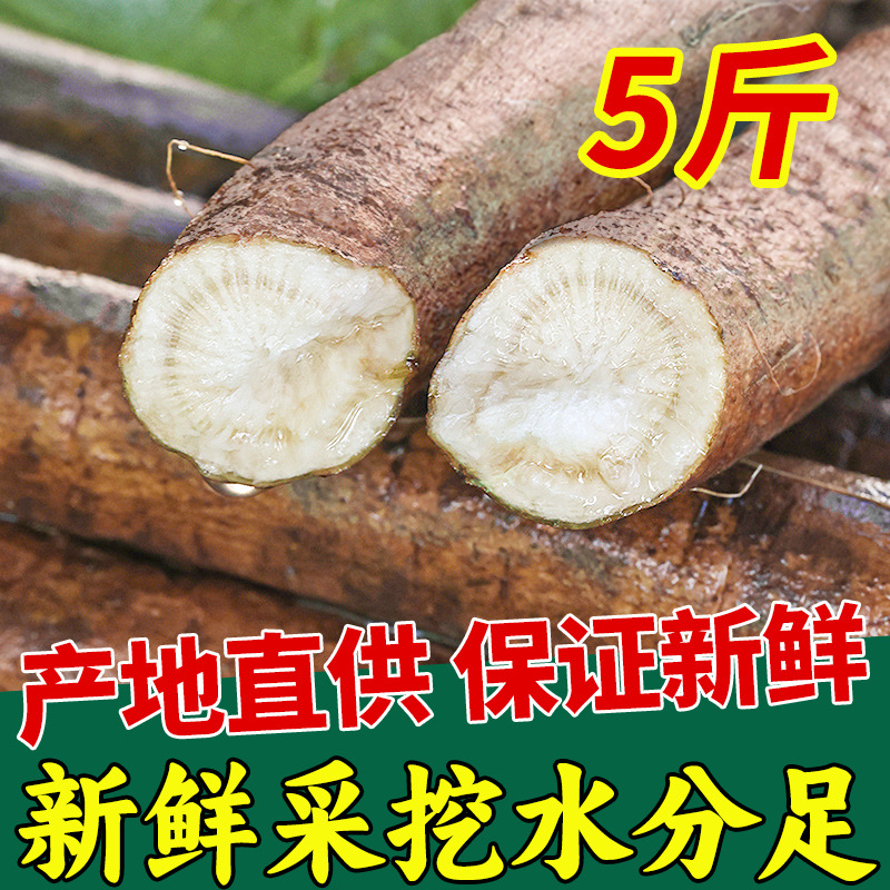 Свежий корень лопуха 2.5кг Ланлинь свежевыкапываемые аграрные продукты Цаншань аутентичные дикие золотые говяжьи листовые чайные ломтики оптом