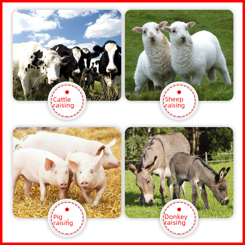 High Energy Xsd-A6 Smart Digital Fence Host Livestock Maintenance 20 Kilometers Remote Control Alarm Type