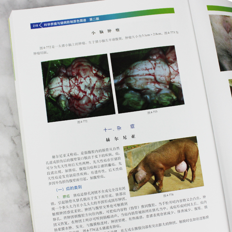 Scientific pig breeding and pig disease prevention and control primary color atlas second edition pig disease Identification Atlas medication