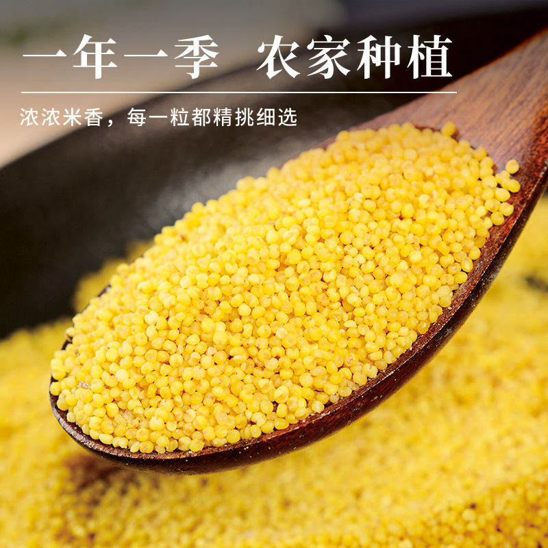 Yellow millet 250g wholesale vacuum loaded grain farmers produced Shanxi new rice coarse grains fragrant glutinous millet jun