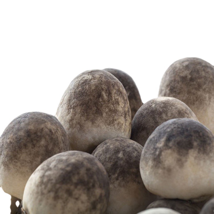 Gutian specialty Straw Mushroom Mushroom mushroom orchid mushroom meat crisp and tender taste delicious dried straw mushroom new goods wholesale