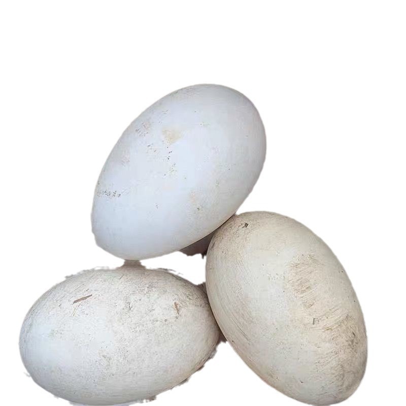 6-Pack of Lion-Headed Goose Fresh Farm-Raised Free-Range Large Goose Eggs to Remove Fetal Toxins, Large Size 80-120g
