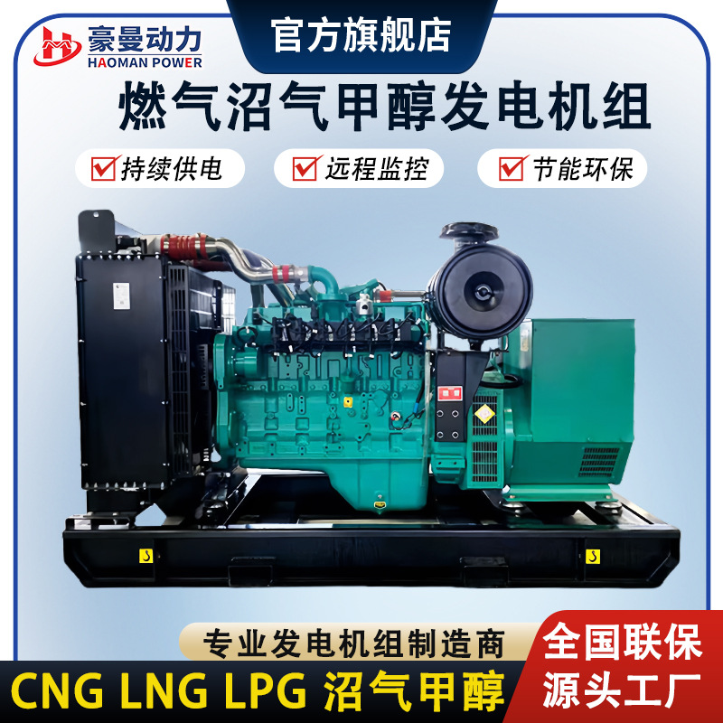 Natural Gas Generator Set 150Kw Methanol Generator 120Kw Biogas Generator Set for Pig Farm