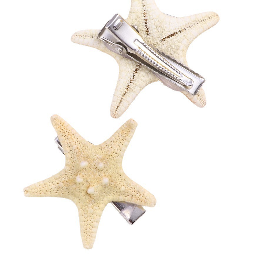 Research Shell Conch Sea Star Micro Landscape Aromatherapy DIY Eternal Flower Landscaping Decoration Crafts Set Props