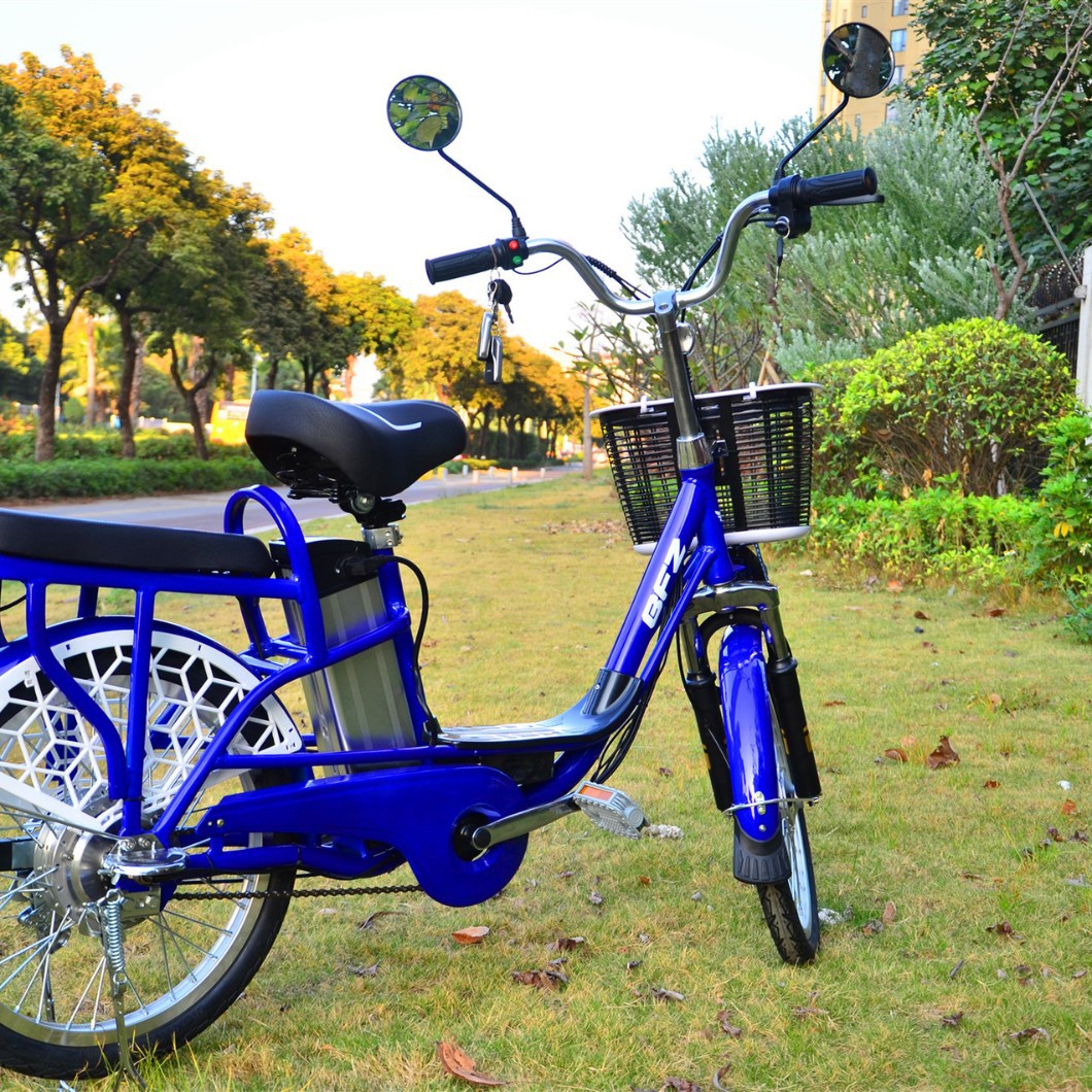 20-Inch 48V Lithium Battery Electric Moped Snowmobile Yilan Princess Electric Bicycle Electric Motorcycle