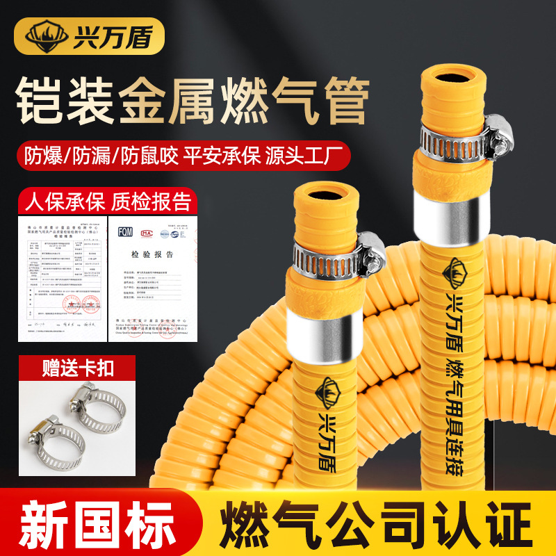 New National Standard Explosion-Proof Gas Pipe Gas Pipe Liquefied Gas Natural Gas Gas Stove Special Connection Metal Armored Hose