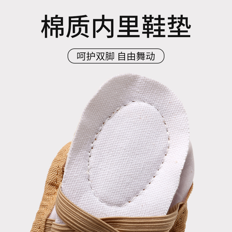 Dance Shoes Lace-up-free Women's Soft Sole Classical Children's Ballet Dancing Shoes for Girls Practice Adult Cat Claw Shoes