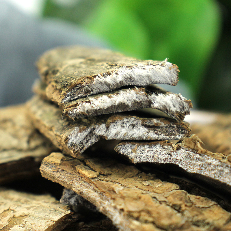 Guizhou Eucommia Specialty Eucommia Thick-Skinned Soup, Wine and Tea Raw Materials Guizhou Sanbao Spot Wholesale Delivery