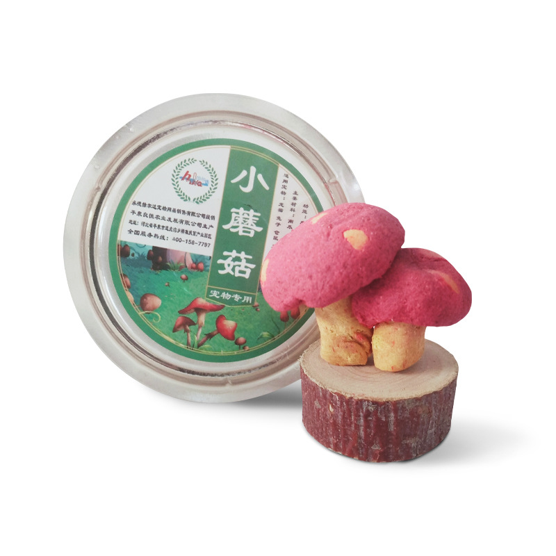 Small Mushroom Rabbit Chinchilla Guinea Pig Hamster Molar Landscaping Snacks