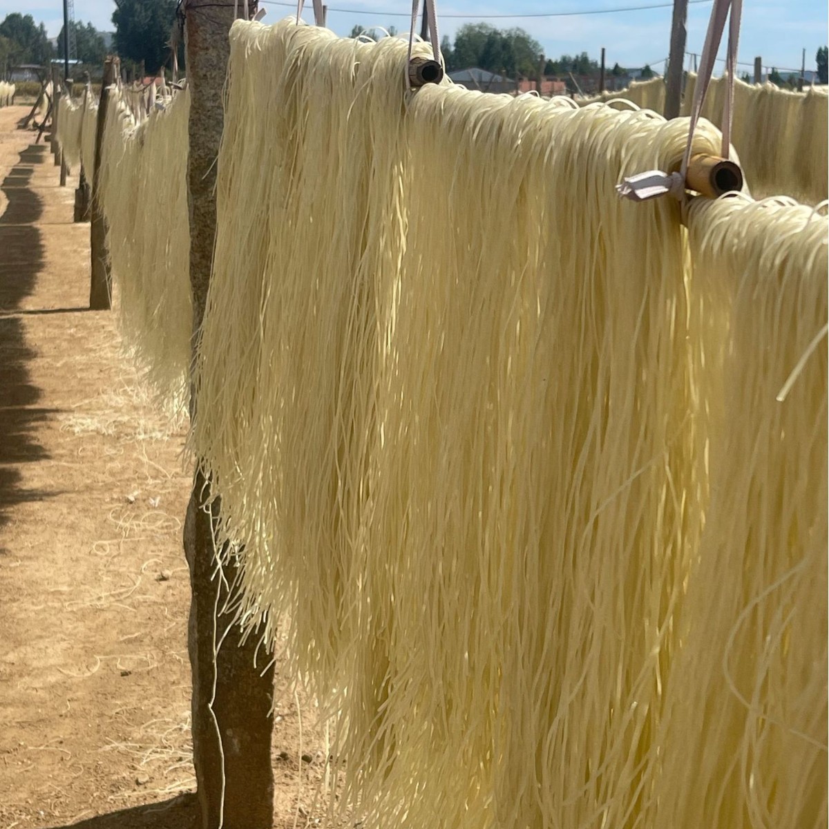 Shandong authentic farm handmade sweet potato vermicelli vermicelli hot pot sweet potato powder 500g source factory