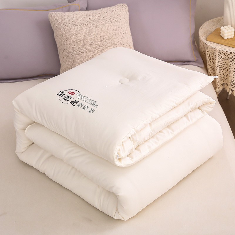 Raw Cotton Soybean Quilt Gift Set Boxed Spring and Autumn Quilt Thickened Winter Quilt Cotton Quilt Core Promotional Event Wholesale Manufacturer