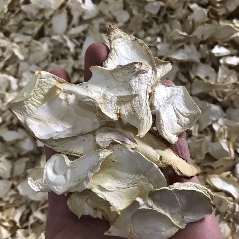 Origin direct supply Pleurotus erata dry goods bulk wholesale 500g dried scallop mushroom vegetarian ingredients mushroom soup package