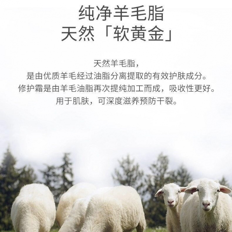 Lanolin Cream, Nipple Chapped Cream, Newborn Breastfeeding Cream, Breast Pain, Breastfeeding Pain, Pregnant Women's Skin Care, Chapped Repair Lanolin