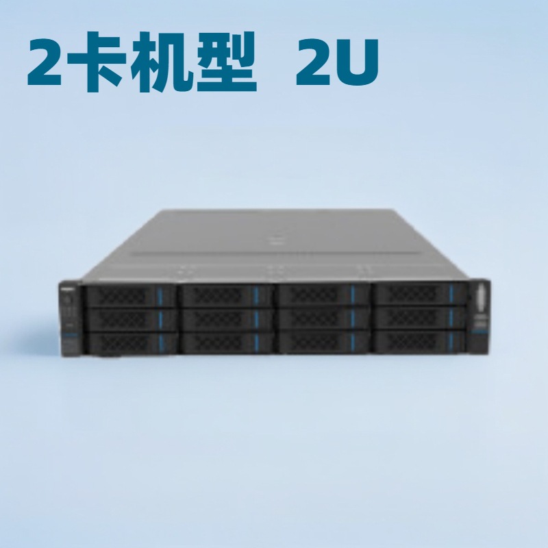 Ali Deepseek All-In-One Machine 2U2 Card Model 2*7470/256G/2*480G+2*3.84T Solid State