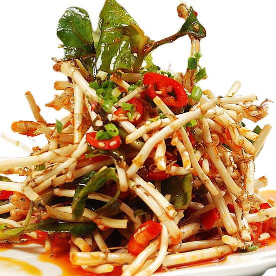 Fresh and Tender Houttuynia Cordata Roots for Cold Salad