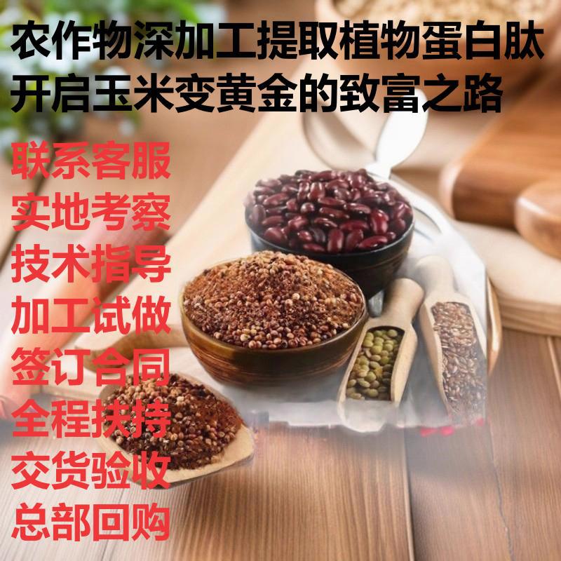 Сода: "Золотая дорожка" глубокой переработки урожая