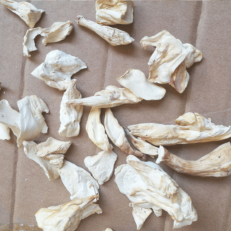 Pleurotus eryngii dried tablets 500g Pleurotus eryngii small pieces wholesale dried scallops mushroom oyster mushroom dried edible fungus