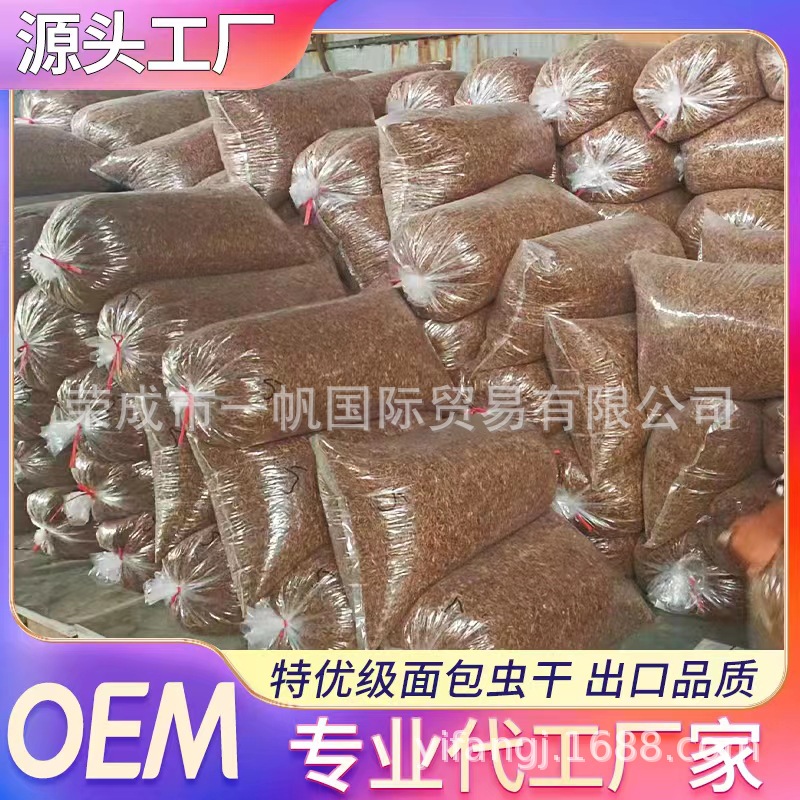 Supply export-grade microwave drying bread worm dry support small package quality stable yellow powder worm hamster grain
