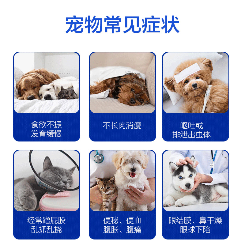 Foreign Trade Canine Distemper Cdv, Canine Parvovirus Cpv, Feline Parvovirus Fpv Test Paper, Pet Testing Kit, Cross-Border Hot Product