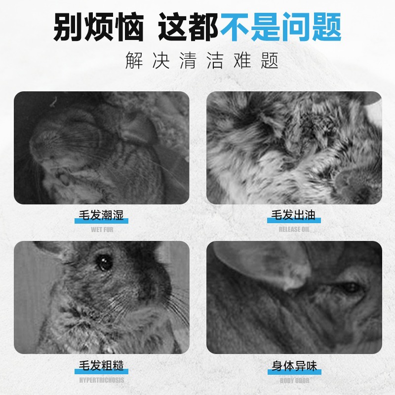 Magic Cloud White Cloud Chinchilla Bath Sand American Imported Competition Grade Chinchilla White Cloud Volcanic Ash Bath Sand 2.5 Pounds of Beautiful Hair Bath Sand