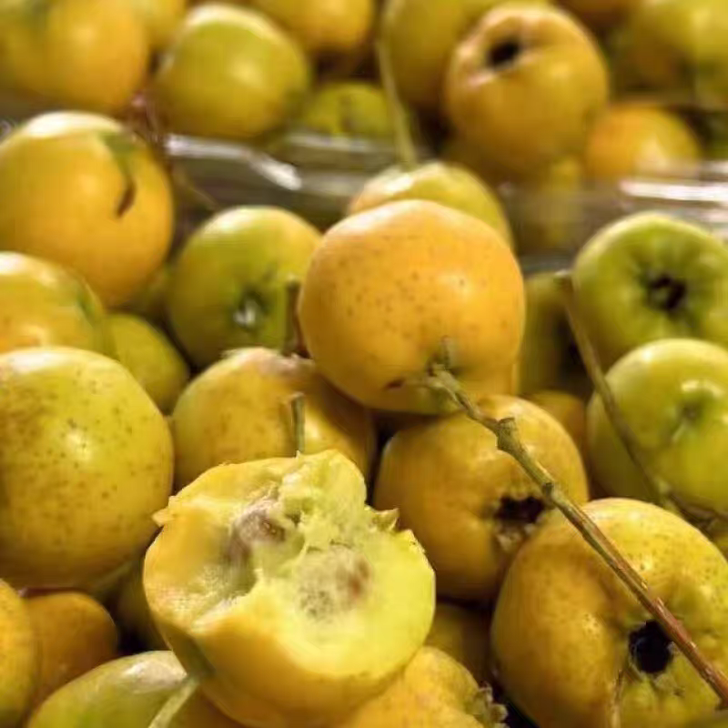 2025 Fresh Fruit Sweet Taste Huangshan Hawthorn Golden Ruyi Cotton Ball Hawthorn Yimeng Mountain Specialty Freshly Picked and Shipped