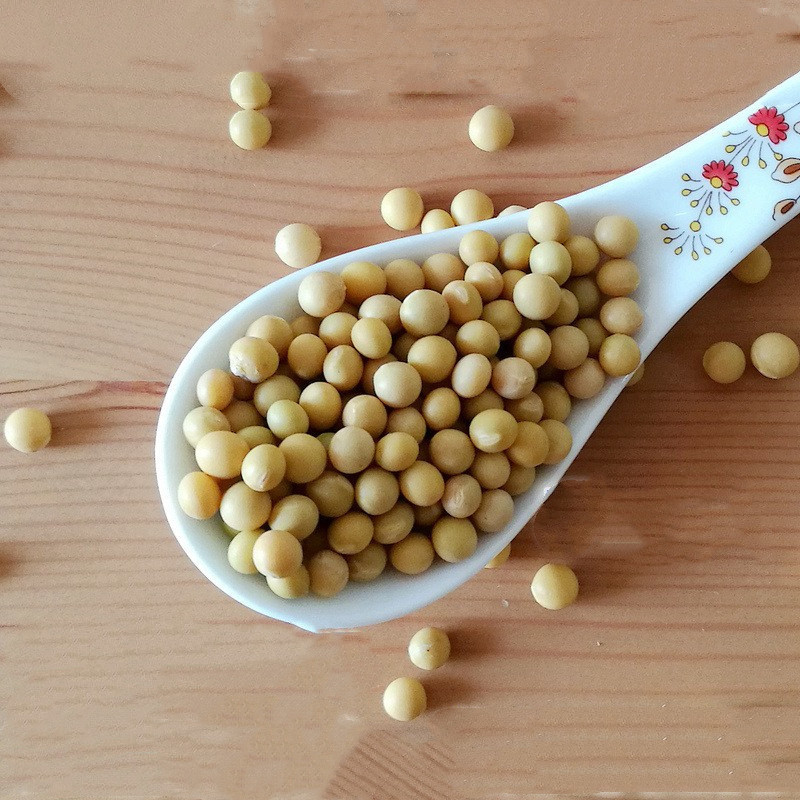 New bean sprouts, soybean raw bean sprouts, soybean natto 5kg, farmhouse self-grown 690 small grains