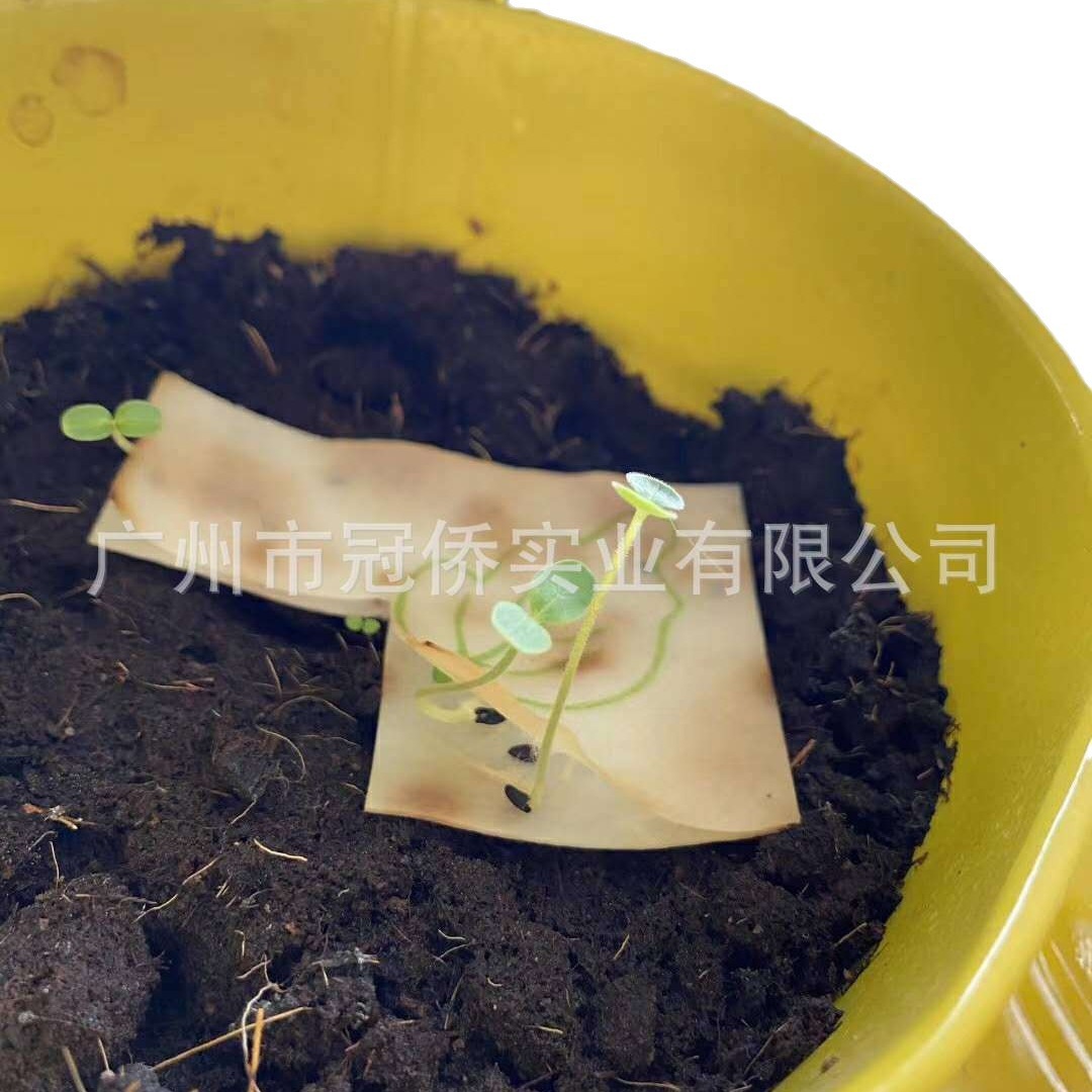 Biodegradable Germination paper seed paper Red Envelope seed paper Name Card Tag paper Card