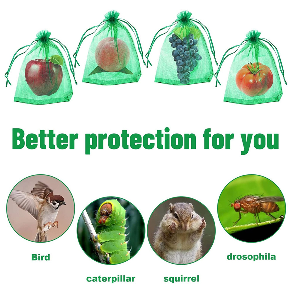 Amazon Fruit Protection Bag Fruit Grape Strawberry Anti-Insect and Anti-Bird Mesh Bag Fruit Bag