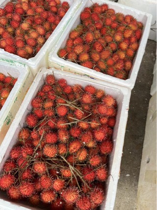Fresh Rambutan Fruit 2.5kg Seasonal Whole Box of Rambutans Hainan Tropical Fruit for Pregnant Women